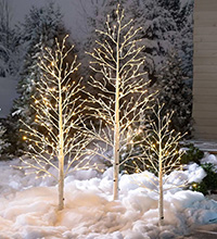 LED White Birch Tree, Warm White LED