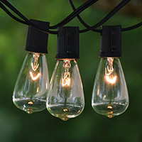 Clear Edison Bulb Patio String Lights, Green Wire