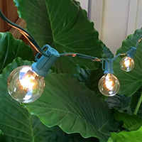 Clear G40 Globe Patio String Lights, Green Wire